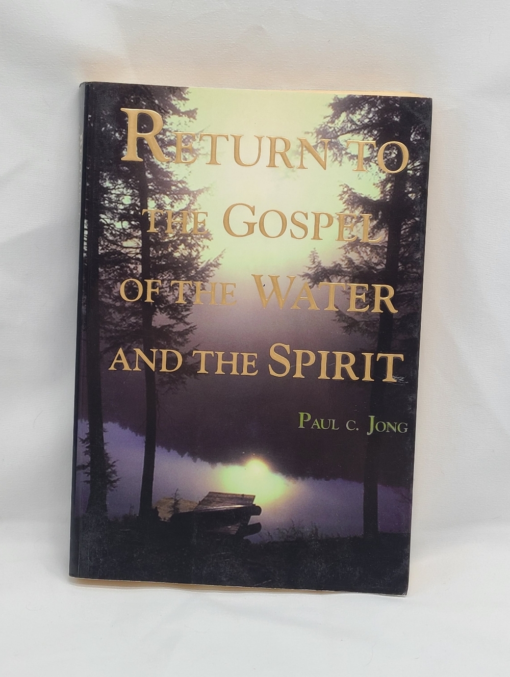 Return To The Gospel Of Water And Spirit Paperback By Paul C. Jong